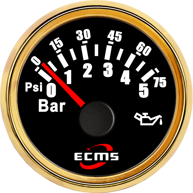 ECP/ECP2-Pressure gauge (5Bar)