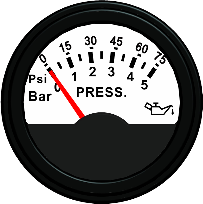 ECCS-Pressure gauge 5Bar