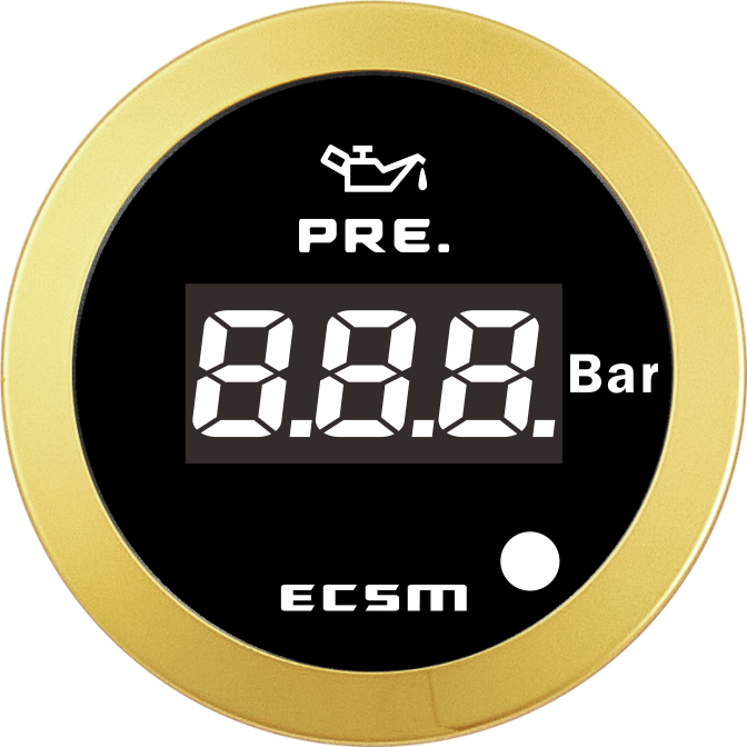 ECT-Digital pressure gauge(with low pressure alarm light)