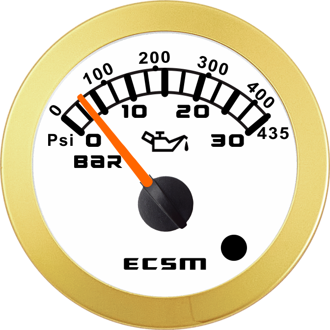 ECT-Pressure gauge 30Bar(with low pressure alarm light)