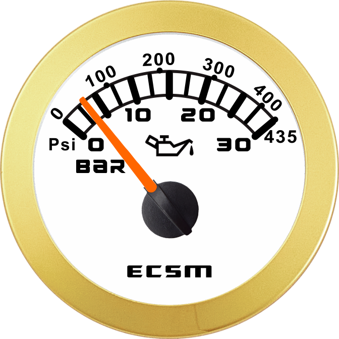 ECT-30Bar压力表