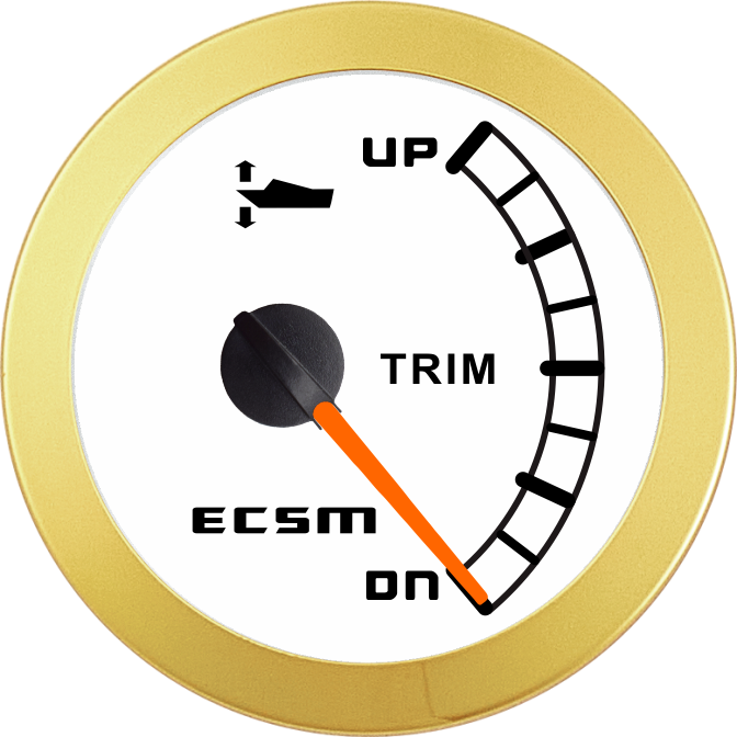 ECT-Trim gauge