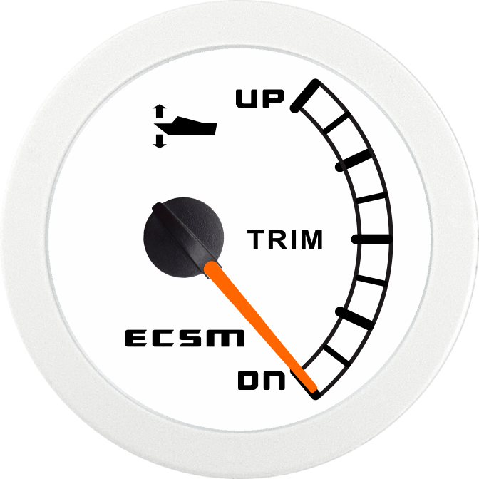 ECT-Trim gauge