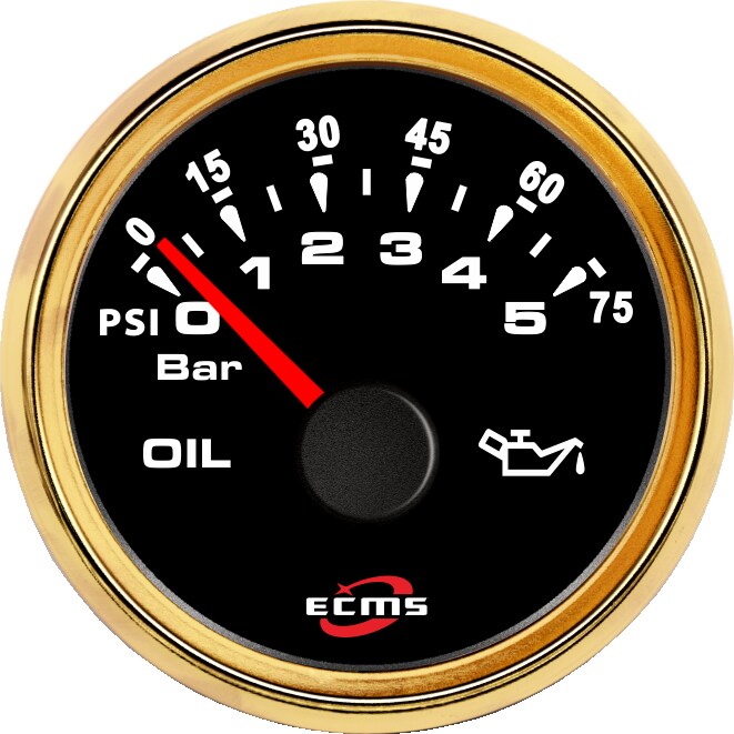 ECH-Pressure gauge 5Bar