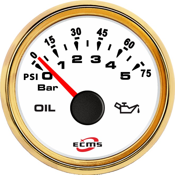 ECH-Pressure gauge 5Bar