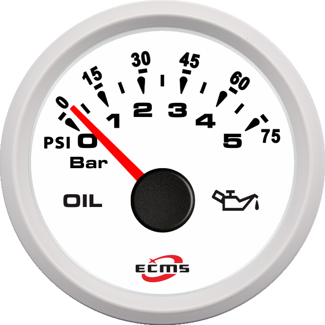 ECH-Pressure gauge 5Bar