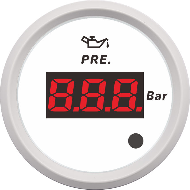 ECPC/ECPS-Digital pressure gauge(with low level alarm light)