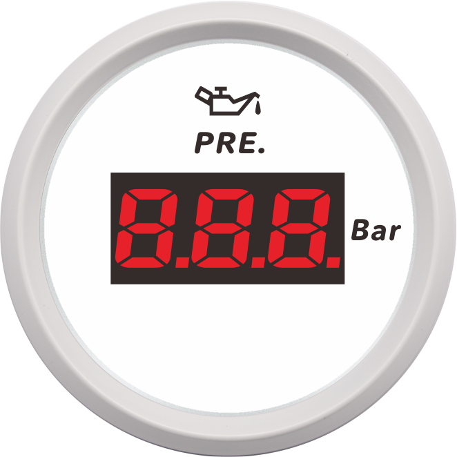 ECPC/ECPS-Digital pressure gauge