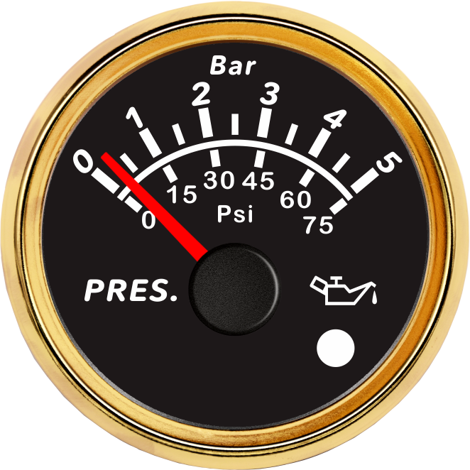 ECPC/ECPS-Pressure gauge  5Bar (with low level alarm light)