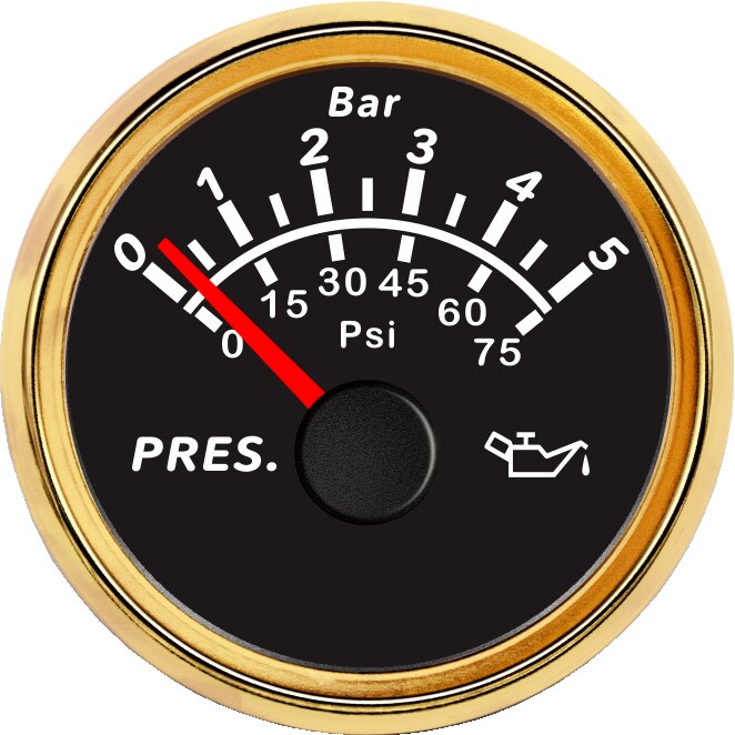 ECPC/ECPS-Pressure gauge 5Bar