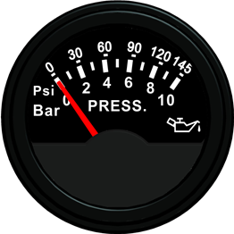 ECCS-Pressure gauge 10Bar