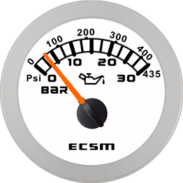 ECT-Pressure gauge  30Bar