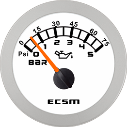 ECT-Pressure gauge 5bar