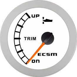 ECT-Trim gauge