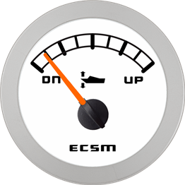 ECT-Trim gauge