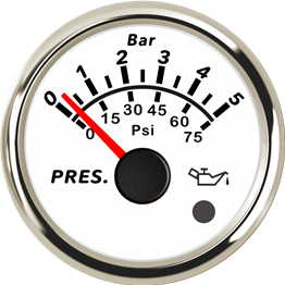 ECPC/ECPS-Pressure gauge  5Bar (with low level alarm light)